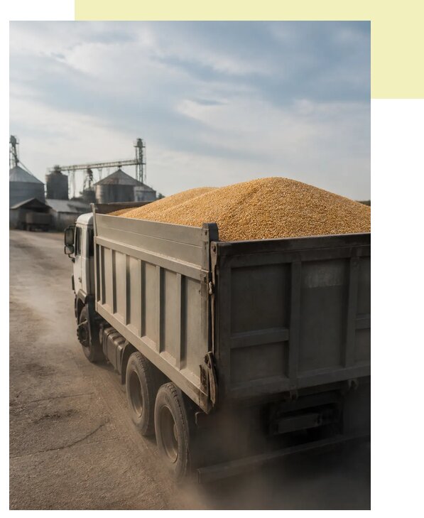 Перевозка сельхозпродукции навалом в Выборг по цене от 3066 р. | Агросервис-Вбр